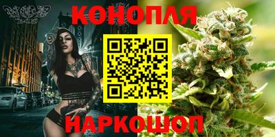 гидропоника Жуковский
