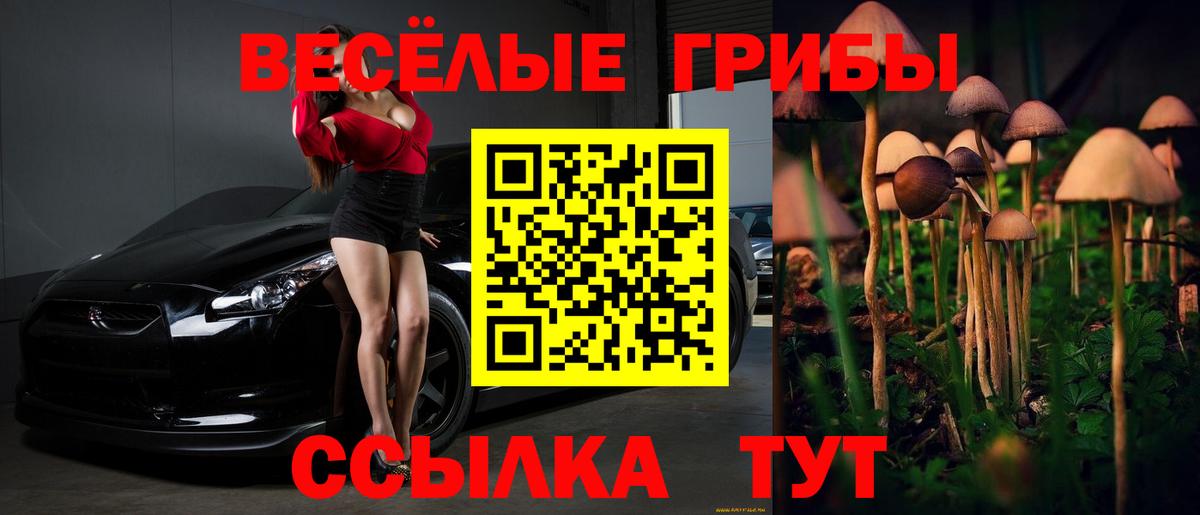 Псилоцибиновые грибы Psilocybine cubensis  Вход с VPN  Дубна 