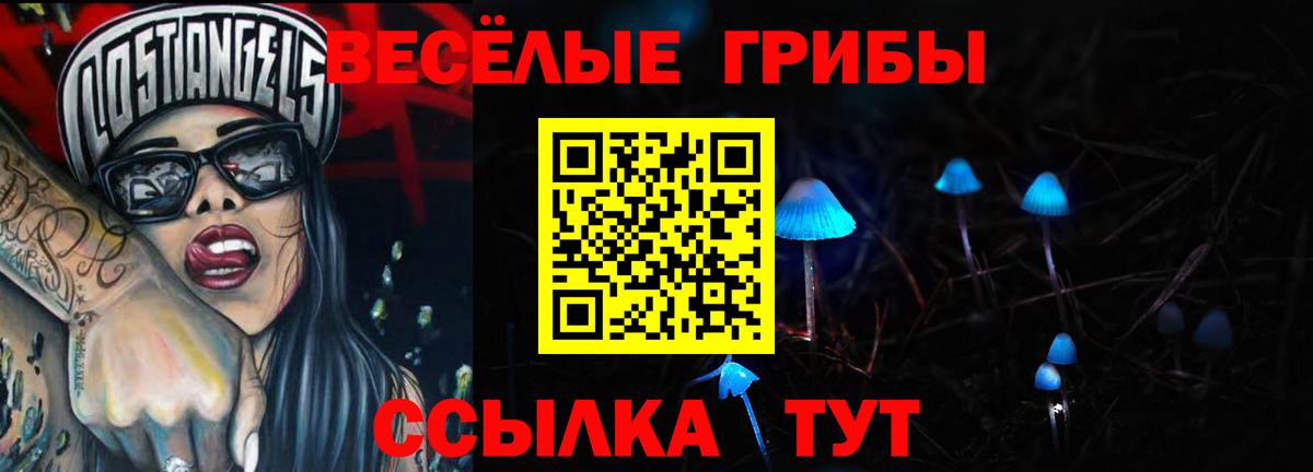 Галлюциногенные грибы мицелий Дубна