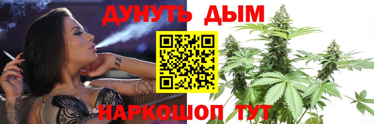 Дубна  Канабис планчик  Шишки марихуана сатива  Бошки марихуана индика  Вход с VPN 